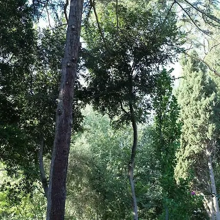 A D'orri Casa de Férias Sarroch