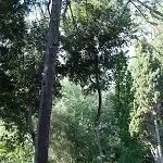 A D'orri Vakantiehuis Sarroch