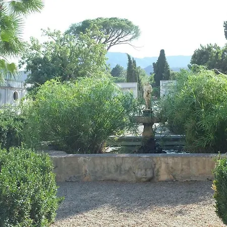 A D'orri