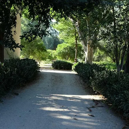 A D'orri